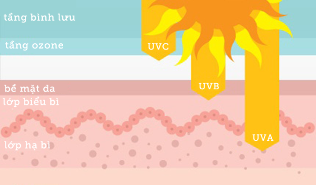 Tác động của tia UV lên da
