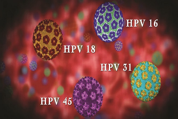 Bệnh do virus HPV