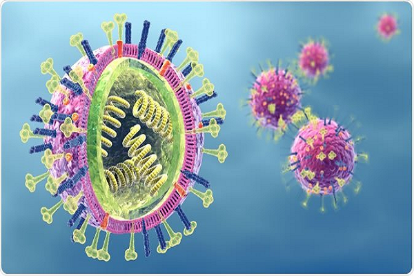 Virus cúm phổ biến nhất là cúm A, B, C