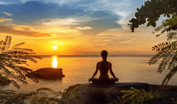 Thiền vào sáng sớm là cách mà các bậc chân tu vẫn hay làm để có sức khỏe tốt và trí tuệ minh mẫn