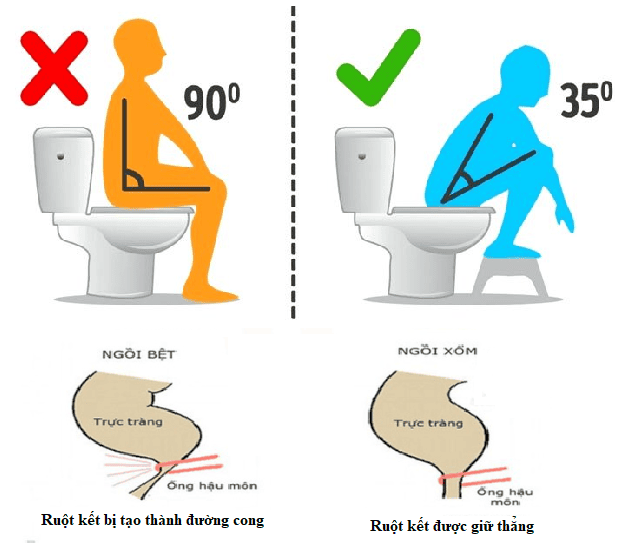 Đi vệ sinh sau khi ngủ dậy và ngồi đúng tư thế giúp đại tràng hoạt động tốt hơn