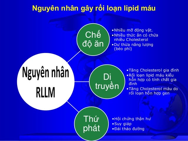 Nguyên nhân gây rối loạn mỡ máu