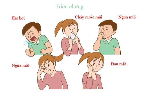 Triệu chứng bệnh viêm mũi dị ứng bội nhiễm nặng nề hơn viêm mũi dị ứng thông thường