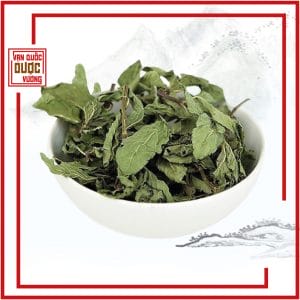 bạc hà