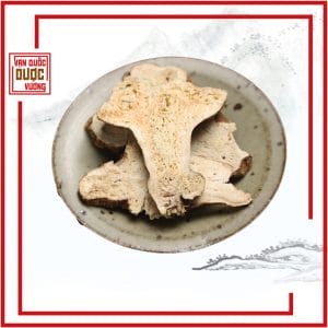 bạch truật
