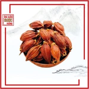 chi tử
