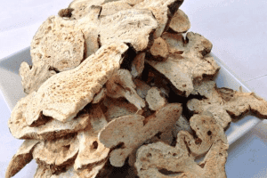 bạch truật Chiết Giang