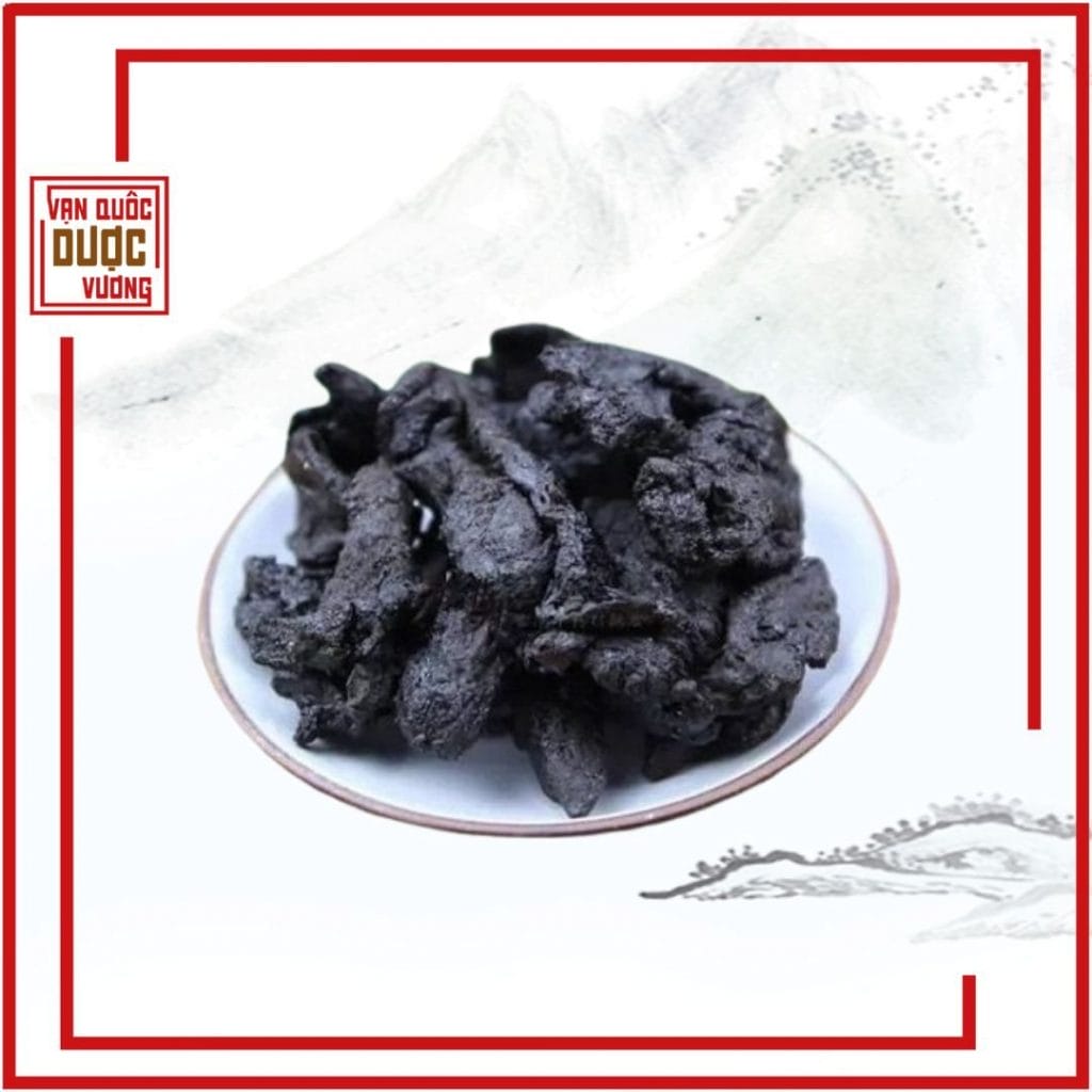 Khám phá Thục địa nhập từ Trung Việt