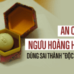 An cung nguu hoang hoan