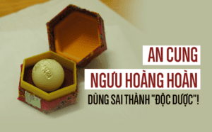 An cung nguu hoang hoan