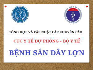 Cục y tế dự phòng - Bộ y tế và các khuyến cáo về bệnh sán dây lợn