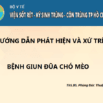 Điều trị bệnh giun đũa chó mèo