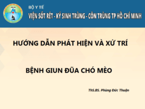 Điều trị bệnh giun đũa chó mèo