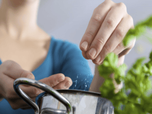 Chế biến thức ăn bổ sung cho trẻ nhỏ có cần cho thêm gia vị mặn không