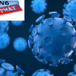 Bệnh cúm A H5N6 có tốc độ lây lan nhanh và dễ bùng phát thành dịch