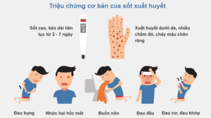 Dấu hiệu của sốt xuất huyết