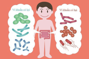 Hệ vi sinh vật đường ruột