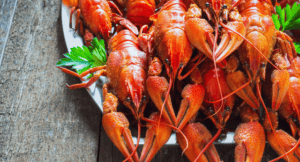 Không nên ăn tôm hùm đất