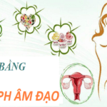 Mất cân bằng pH âm đạo
