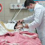 Ngộ dộc mật cá trắm (Hình ảnh minh họa)