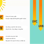 Tác hại của tia UV