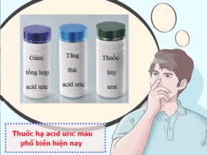 Thuốc hạ acid uric máu