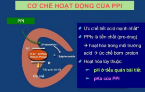 Thuốc ức chế tiết acid PPI