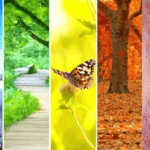 Thay đổi thời tiết người bệnh vảy nến nên làm gì?