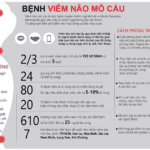Bệnh viêm não mô cầu