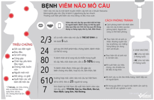 Bệnh viêm não mô cầu