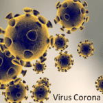Cẩm nang bệnh viêm phổi do virus corona