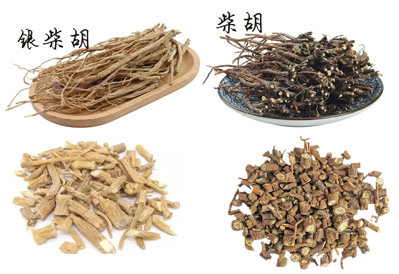 Ngân sài hồ - Bắc Sài hồ